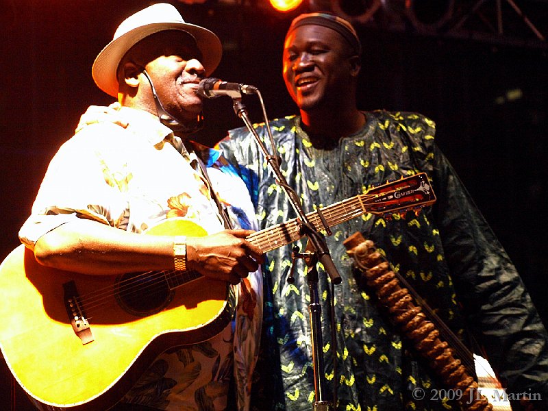 022Luminato_ Taj Mahal_Mamadou Diabate.JPG